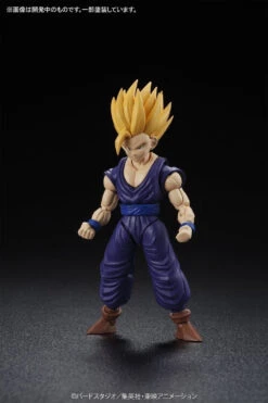 Bandai Figure Rise Standard Dragon Ball Z Super Saiyan 2 Gohan 14 Bandai Figure Rise Standard Dragon Ball Z Super Saiyan 2 Gohan -Model Figures Store 10732