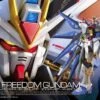 Bandai 1/144 RG 14 ZGMF-X20A Strike Freedom Gundam
